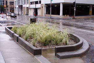 23 (28) Figur 17. Exempel på Rain garden längs en väg, observera utformning av kantsten (Källa: VegTech) Filtermedium Geotextil Singel Figur 18.