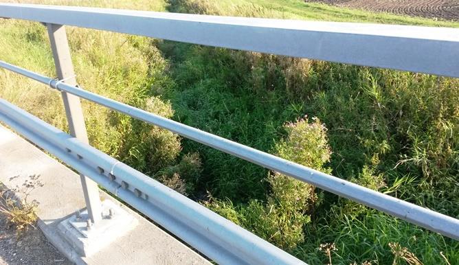 G1. Gessiebäcken Koordinater: 6152884/370007 (SWEREF99_TM) Län: 12 Skåne Kommun: Vellinge Vattendragsbredd: 2 m Medeldjup provyta: 0,5 m Provtagningsmetodik: SS-EN 13946 Vattennivå: medel