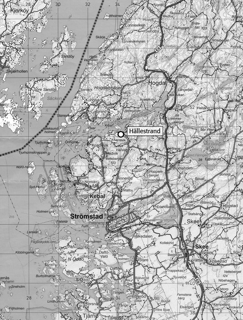 Fig. 2. Utsnitt ur Blå kartan, blad 91 Strömstad, med platsen för utredningen markerad. Skala 1:100 000.