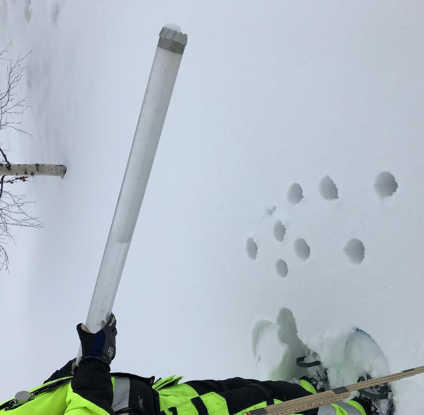 A B Figur 3. (A) Snökärna tagen med snöprovtagare. (B) Använd utrustning ute i fält, här syns glasbägare med aluminiumlock, snöprovtagare nedtryckt i snön samt tumstock i ett av provtagningshålen. 3.3. Analyser 3.