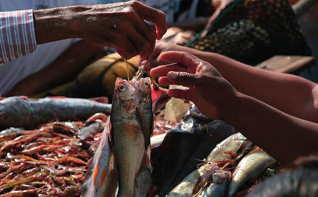 Mål 2: Ingen hunger Foto: IAEA Avskaffa hunger, uppnå tryggad livsmedelsförsörjning, uppnå en bättre kosthållning och främja ett hållbart jordbruk.