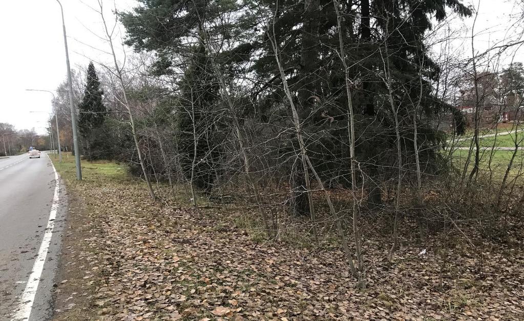 Geoteknisk PM Detaljplan Detaljplan Björnmossevägen