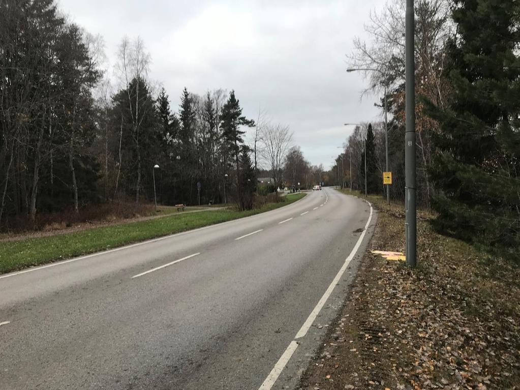 Figur 2: Foto taget längs Björnmossevägen.