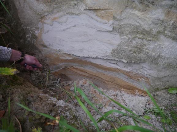 11 Multidisciplinärt arbete krävs för entydig identifikation Geomorfologi Seismologi Kvartärgeologi Glaciologi