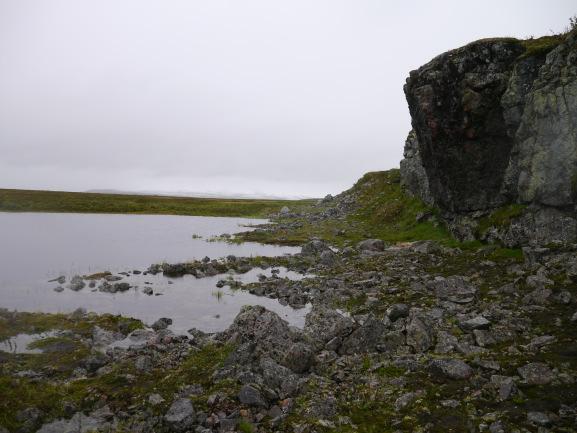 2016. Post-glacial reactivation of the Bollnäs fault, central Sweden a multidisciplinary geophysical investigation.