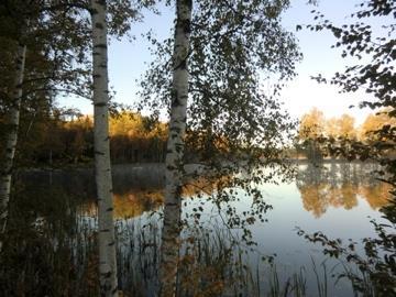 spännvidd: Miljöjuridik, miljökemi, riskbedömning, upphandling