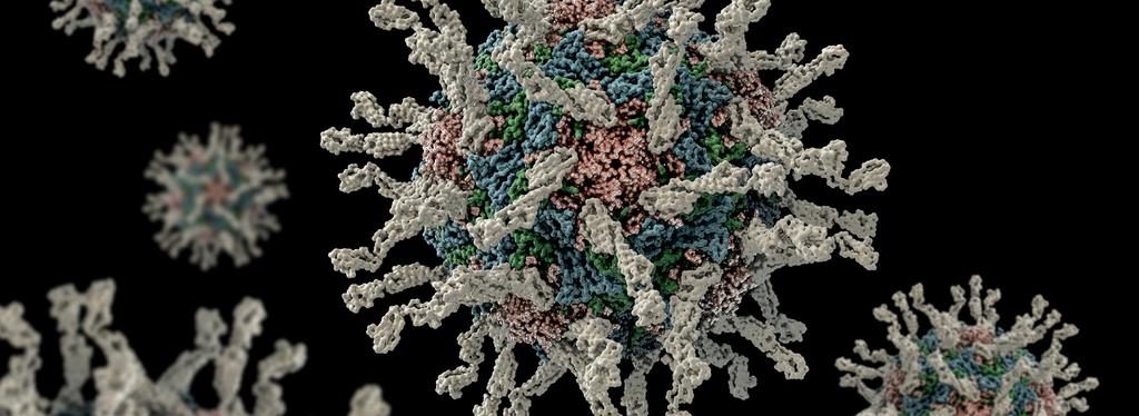 Vad är postpolio? Vad är polio? Polio är en sjukdom orsakad av ett smittsamt virus som i det akuta stadiet angriper nervsystemet och kan ge förlamningar i kroppens muskler.