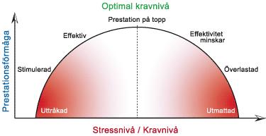 Stress ger bättre