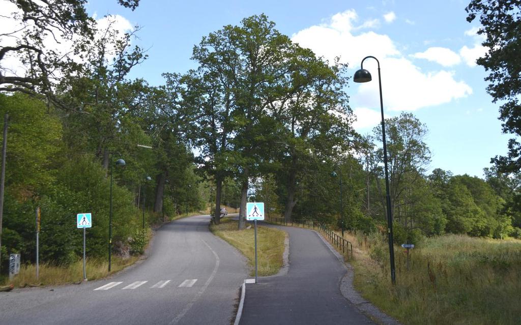 Bild 11: Hålluddsvägen vid nyckelbiotopen. Vägens bredd är reglerad till 6,0 meter i gällande detaljplan.