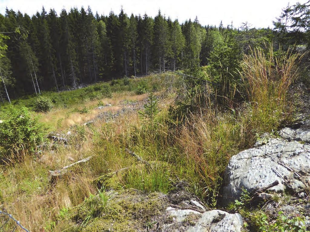 Det är i första hand från denna tidsperiod, för mellan 8000 och 9000 år sedan, som lämpliga boplatslägen kan finnas inom berört område.