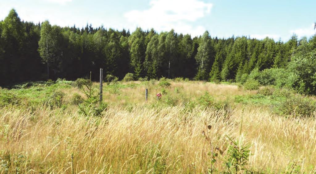 Fynd framkom inom ett cirka 430 m 2 stort område i norra delen av det norra boplatsläget.