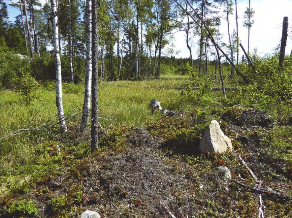 och består till största delen av moränjord och urberg, men innefattar också ett område med postglacial finsand i nordväst.