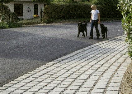 Svackdike Exempel på ett svackdike med dagvattenbrunn.