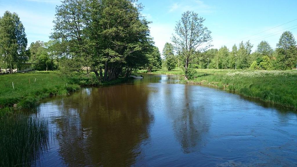 Bergshamraån,