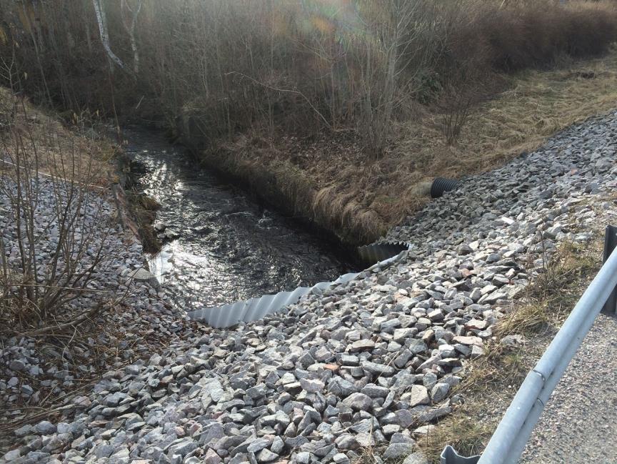 Figur 25. Provtagningslokalen i Tulkaströmmen ligger längs en strömsträcka uppströms en vägtrumma två kilometer från havet. Tulkaströmmen har det lägsta flödet av de undersökta vattendragen.