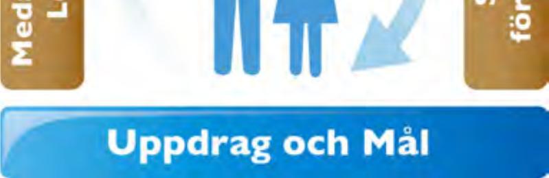 Tjänstemän svarar för beslutsunderlag och genomförandet - arbetar med hur-frågor.