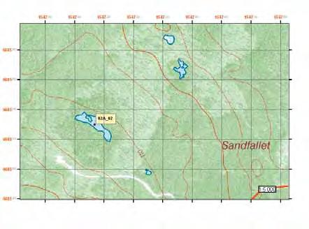 Sandvikens kommun Lokal 02A_02 Observationer En könsmogen hona och en hane påträffades den 24 juli.