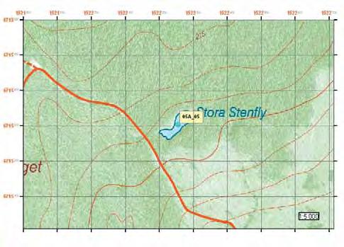 Hofors kommun Lokal 05A_05 Stora stenfly Observationer Mycket fin lokal, 17 larver observerade den 29 juli, inga larver var nära metamorfos Omgivningsbeskrivning Skogslandskap: Fast blockmark bevuxen