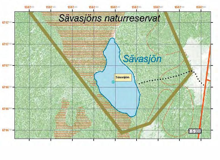Lokal Sävasjön Observationer En adult observerades av Henrik Berg den 6 juli 2005 dagtid.