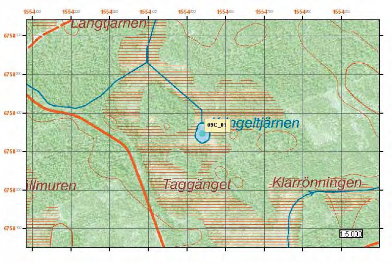 Lokal 09C_01 Kringeltjärnen Observationer En hane och två honor fångades i flaskfällor den 24 maj. Dessutom observerades en adult när fällorna placerades ut.