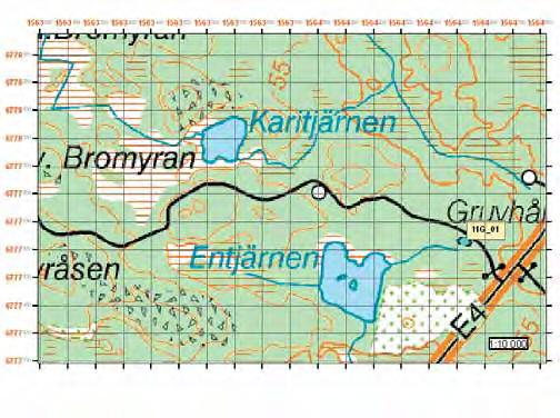 Söderhamns kommun Lokal 11G_01 Observationer Tre hanar och två honor observerades den 3 maj. Omgivningsbeskrivning Skogslandskap: Mogen barrskog på frisk mark, lokalen är belägen 200 meter från E4:an.