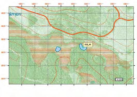 Ovanåkers kommun Lokal 15A_01 Observationer Den 17 augusti observerades 16 larver, inga utav larverna var i närheten av metamorfos.