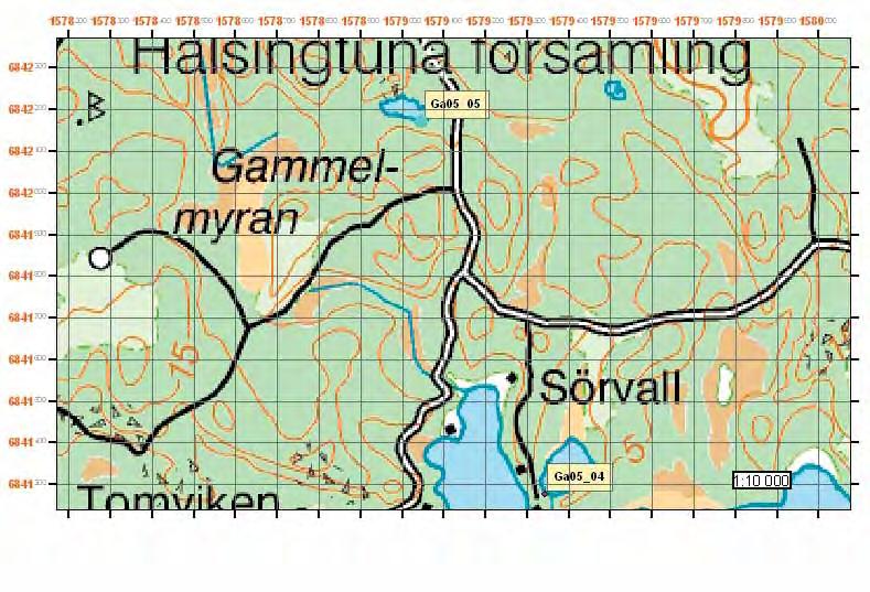 Lokal Ga05_05 (Gackerön) Observationer Två hanar och en hona observerades den 25 maj i den enda del av kärret som hade öppen vattenyta (denna ytan var inte större än ca 4 m 2 ).
