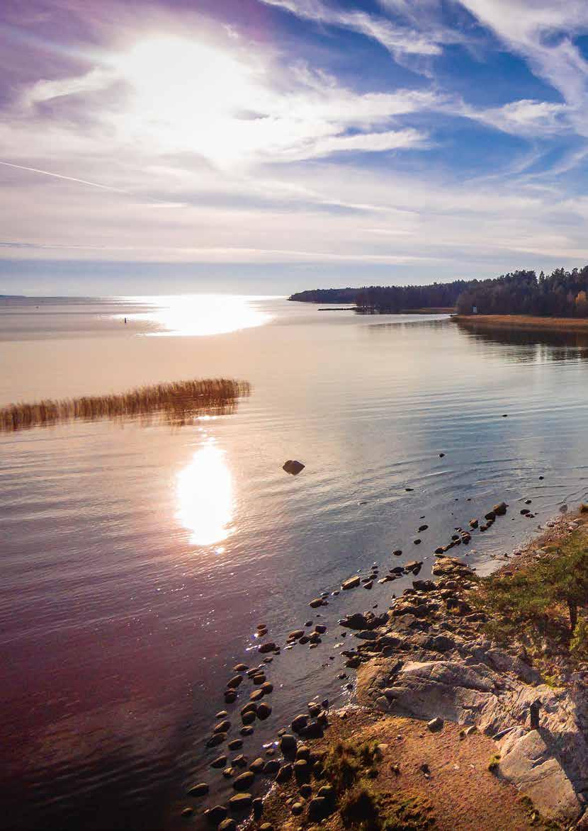 VISION INLEDNING VÄNLIG Här lever vi välkomnande och nära varandra. En genuin känsla av omtanke och medvetenhet genomsyrar vårt samhälle och inspirerar alla, från unga till seniorer.