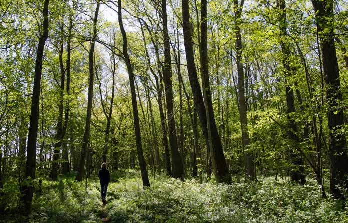 Naturvårdsverket konstaterar i en utvärdering av de nationella miljömålen att 14 av de 16 nationella miljökvalitetsmål inte kommer att nås till 2020 med dagens förutsättningar.