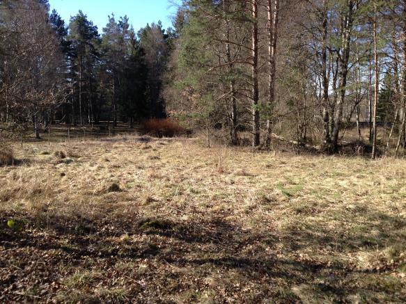De områden som bedöms vara mest lämpliga för övervintring ligger i nära anslutning till nuvarande lekvatten (område 4 och 6 i Figur 2).