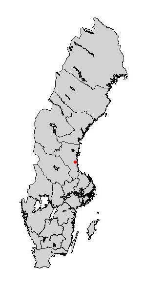 ekonomi, samt att studera interaktionen mellan kustsamer och andra grupper.