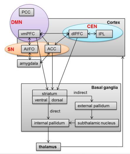 Ecopipam en selektiv D 1 /D 5 antagonist Utvecklad som anti-obesitas LM, heller ingen anti-psykos verkan DRD1/mRNA uttryck i CNS är högst i dorsala striatum (caudateus och putamen) och i ventrala
