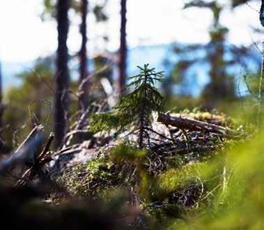 Statens fastighetsverks uppdrag Statens fastighetsverks (SFV:s) uppdrag är att förvalta och utveckla byggnader och miljöer som den svenska staten äger så att en god resurshushållning och en hög