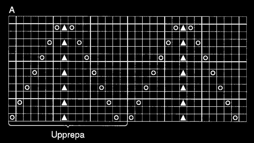 Sticka runt 1 avigt v, 1 rätt v, 1 avigt v. Sätt ett märke i var sida med (88) 96 (104) 112 (120) 128 m till framstycket och (86) 94 (102) 110 (118) 126 m till bakstycket.