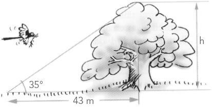 Kapitel 0: Trigonometri 5. Beräkna längden som markeras med x. a) b) 6.