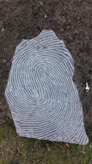 Parkbladet Nr 2-2017 Ett nytt konstverk i parken Ett fingeravtryck i granit av Eva Marklund f. 1971 i Söderhamn.