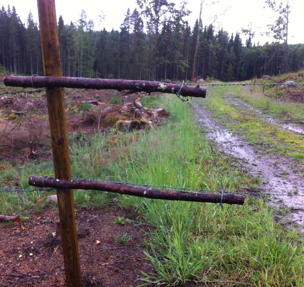 När ska djuren stallas in? Generellt bör ungdjuren stallas in då tillgången på näringsrikt gräs är för låg för att de ska kunna fortsätta att växa 600 800 gram per dag.