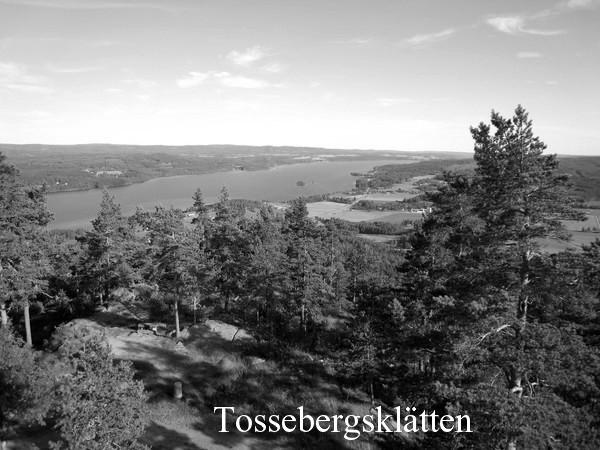 Nycklar till klubblokalen kan lånas hos OBQ. Klubben har tilldelats 18800 kr för iordningställande av masten för kortvåg(?) Beskrivning av en enkel mikrofonförstärkare.