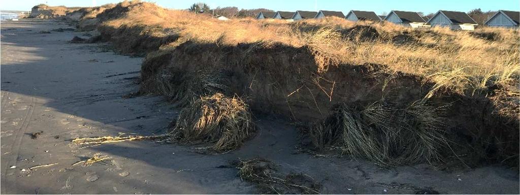 bildas. Efter stormen Urd.