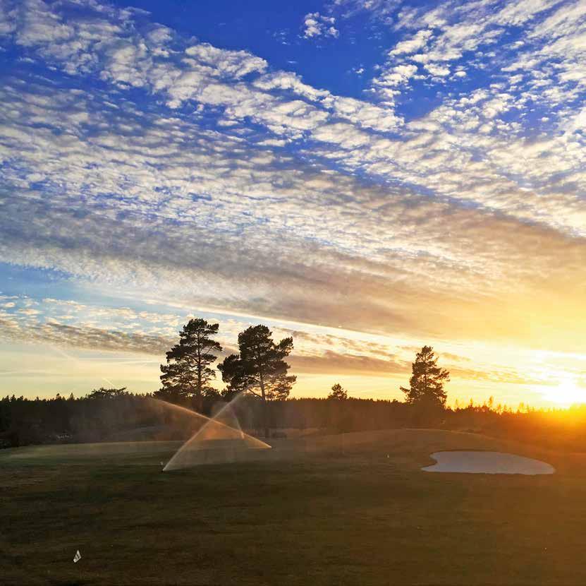 NYTT från damsektionen Årets damresa till Östads Golf Årets damresa går den 1 augusti över dagen till Östads Golf. Gememsam buss med avfärd kl 07.00.