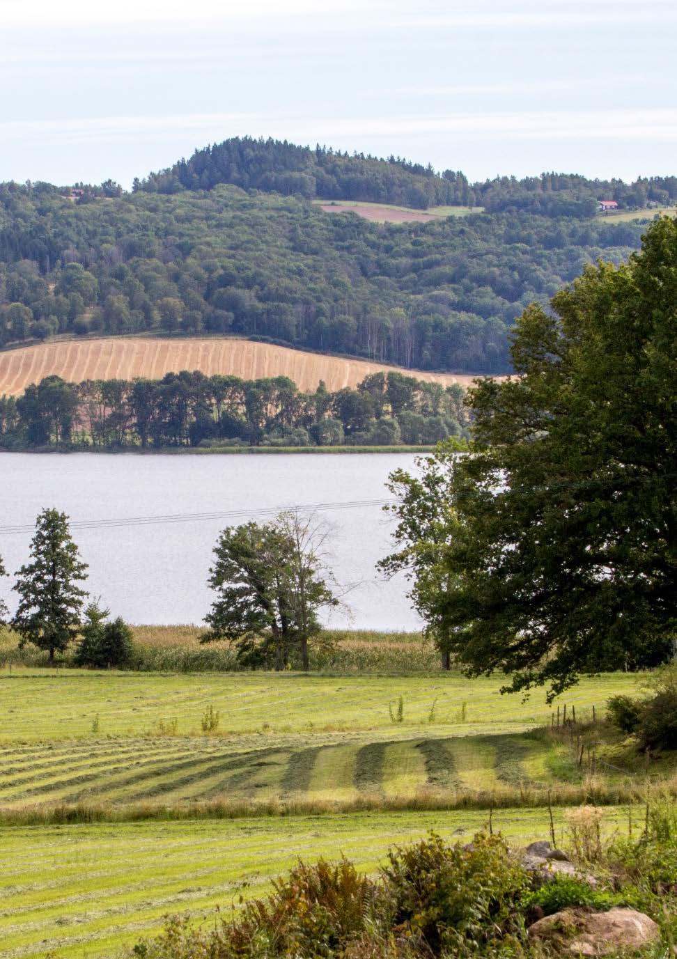 Vatten till Bevattning Dricksvatten Djurhållning Ekosystemtjänster (markvatten,