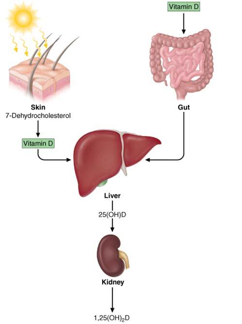 Fauci et al, Harrison s Principles of Internal Medicine,