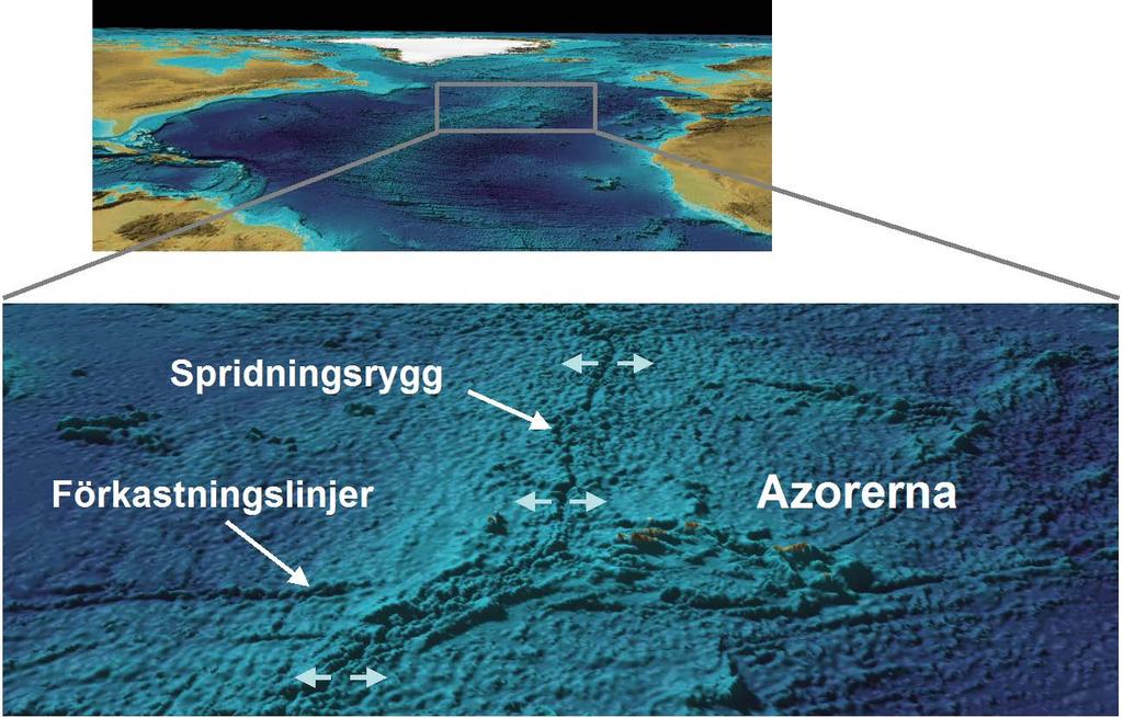 Vid den mittatlantiska ryggen bildas basaltisk oceanbotten för att spridas ut åt båda hållen med en hastighet av ca 2-3 cm/år.
