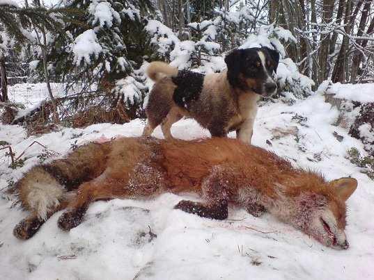 publicerad 2012-12-05