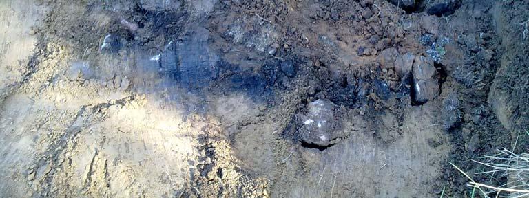 I samband med schaktningen observerades även bränd lera, något som är vanligt förekommande på förhistoriska boplatser. De upptäckta lämningarna förekom inom en 50x40 meter stor yta.