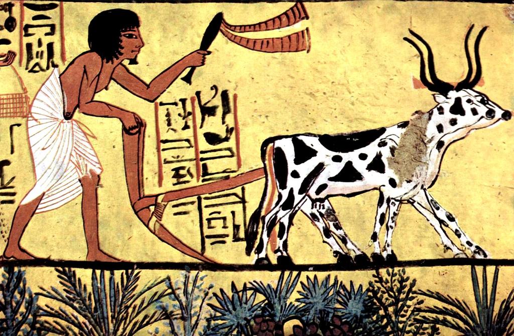 Floden Nilen rinner ut i Medelhavet. Egypten uppstod längs floden Nilen. Medelhavet Nilen var viktig för jordbruket Egypten var ett rikt land, där människorna var duktiga på jordbruk.