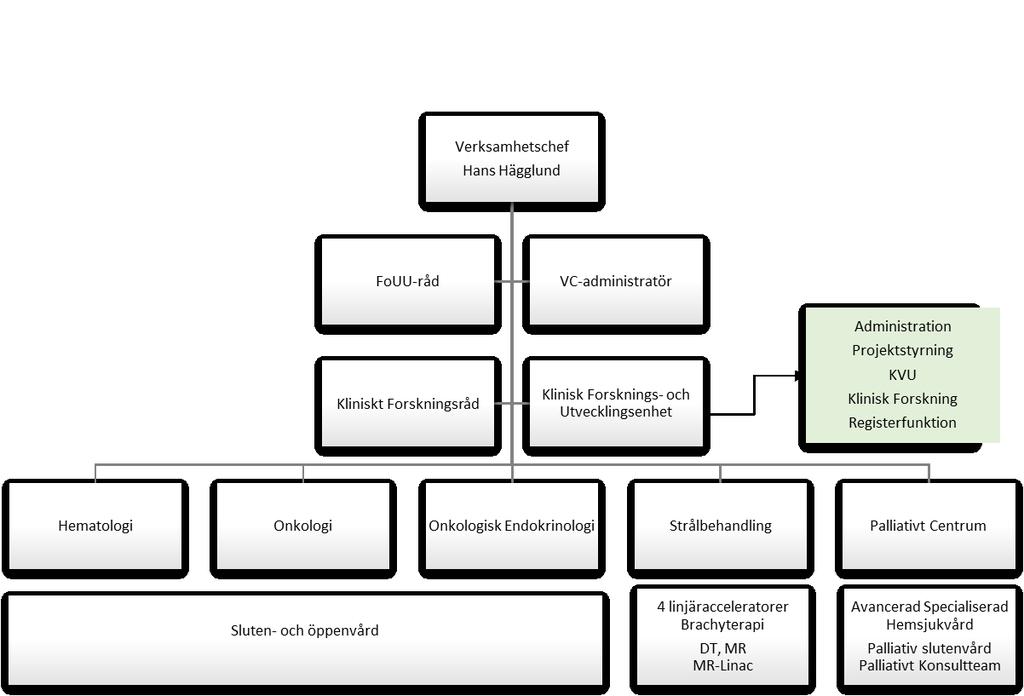 Blod och Tumörsjukdomar 2018 en organisation i