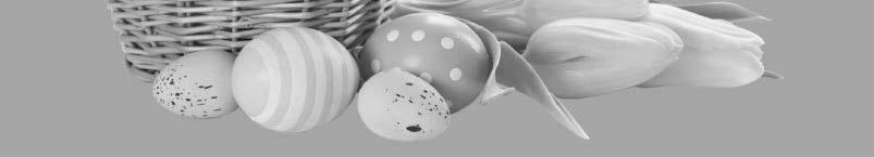 5 dvw Frohe Ostern 3