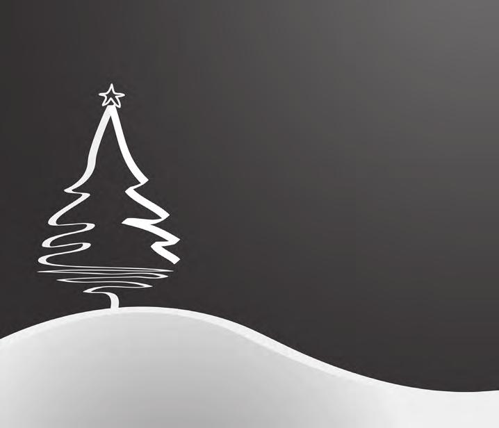 2 Amtsblatt der Gemeinde Heroldstatt 24. November 2016, Nummer 47 Weihnachtsbäume Es ist wieder so weit. Die Weihnachtsbäume in unserem Ort stehen und leuchten.