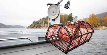 Med fästen för lindragare både för- och akterut, ger STING 600 PRO de fiskeglada möjlighet att rigga båten, som man själv önskar.